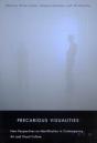 Precarious Visualities - Preview