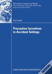 Precaution Incentives In Accident Settings
