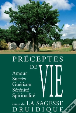 Capa do artigo Préceptes De Vie Issus De La Sagesse Druidique