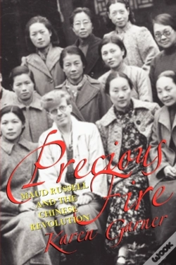 Capa do artigo Precious Fire