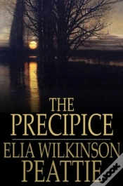 Capa do artigo Precipice