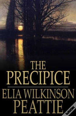 Capa do artigo Precipice