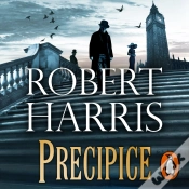 Capa do artigo Precipice