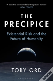 Capa do artigo Precipice