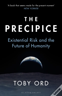 Capa do artigo Precipice