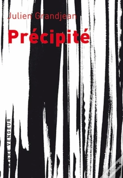 Capa do artigo Précipité