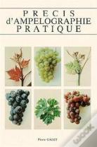 Précis D'Ampélographie Pratique
