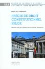 Precis De Droit Constitutionnel Belge ; 2e Edition - Preview