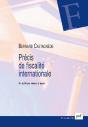 Précis De Fiscalité Internationale (5e Édition) - Preview
