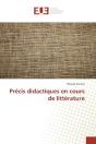 Precis Didactiques En Cours De Litterature - Preview