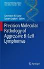 Precision Molecular Pathology Of Aggressive B-Cell Lymphomas - Preview
