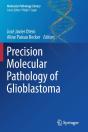 Precision Molecular Pathology Of Glioblastoma - Preview