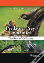 Predator-Prey Dynamics