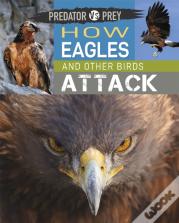 Predator Vs Prey: How Eagles And Other Birds Attack