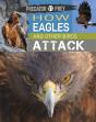Predator Vs Prey: How Eagles And Other Birds Attack - Preview