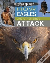 Capa do artigo Predator Vs Prey: How Eagles And Other Birds Attack