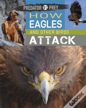 Capa do artigo Predator Vs Prey: How Eagles And Other Birds Attack