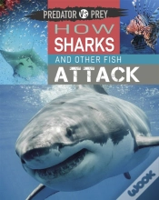 Capa do artigo Predator Vs Prey: How Sharks And Other Fish Attack
