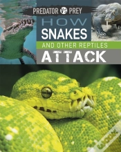 Capa do artigo Predator Vs Prey: How Snakes And Other Reptiles Attack