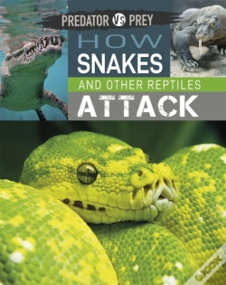 Capa do artigo Predator Vs Prey: How Snakes And Other Reptiles Attack