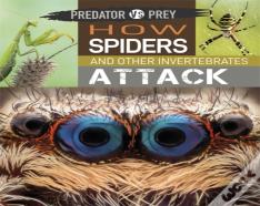 Predator Vs Prey: How Spiders And Other Invertebrates Attack
