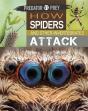 Predator Vs Prey: How Spiders And Other Invertebrates Attack - Preview