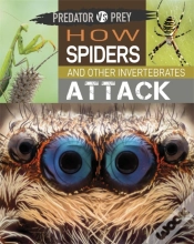 Capa do artigo Predator Vs Prey: How Spiders And Other Invertebrates Attack