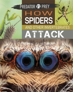 Capa do artigo Predator Vs Prey: How Spiders And Other Invertebrates Attack