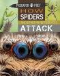 Predator Vs Prey: How Spiders And Other Invertebrates Attack - Preview