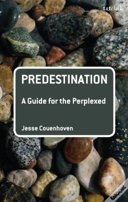 Capa do artigo Predestination: A Guide For The Perplexed