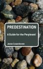 Predestination: A Guide For The Perplexed - Preview