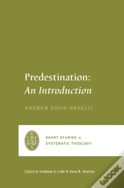 Capa do artigo Predestination