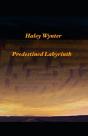 Predestined Labyrinth - Preview