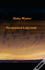 Capa do artigo Predestined Labyrinth