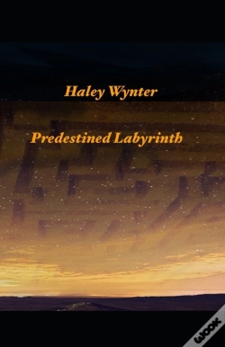 Capa do artigo Predestined Labyrinth