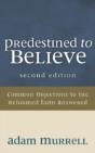 Predestined To Believe - Preview