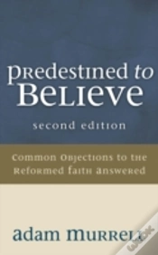 Capa do artigo Predestined To Believe