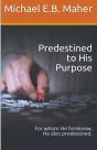 Predestined To His Purpose - Preview