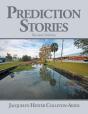 Prediction Stories - Preview