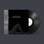 Capa do artigo PREfection - Vinil