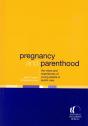Pregnancy And Parenthood - Preview