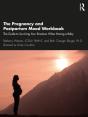 Pregnancy And Postpartum Mood Workbook - Preview