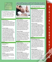 Capa do artigo Pregnancy Guides