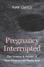 Pregnancy Interrupted - Preview