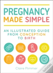 Capa do artigo Pregnancy Made Simple