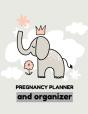 Pregnancy Planner And Organizer - Preview