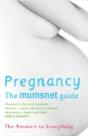 Pregnancy: The Mumsnet Guide - Preview