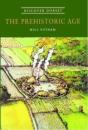 Prehistoric Age - Preview