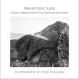 Prehistoric Suns - Preview