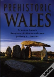 Capa do artigo Prehistoric Wales